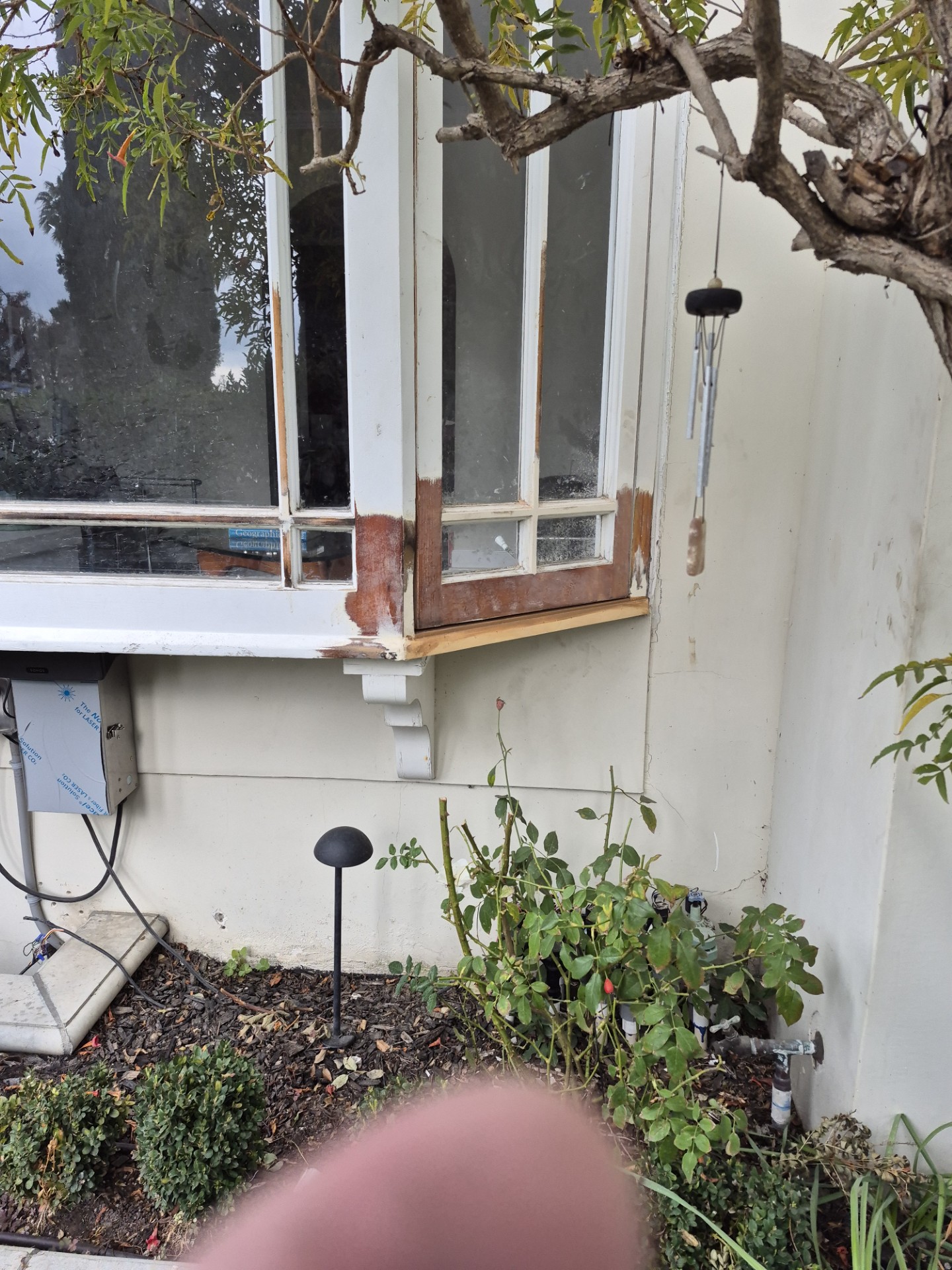 Window Repairs & Restorations