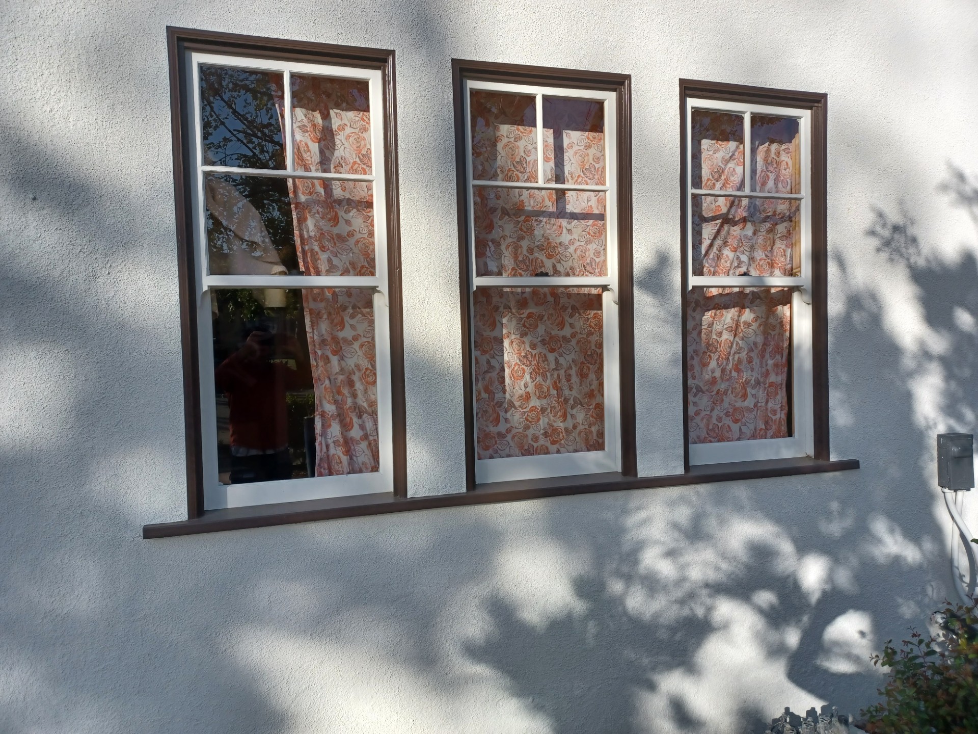 Window Repairs & Restorations