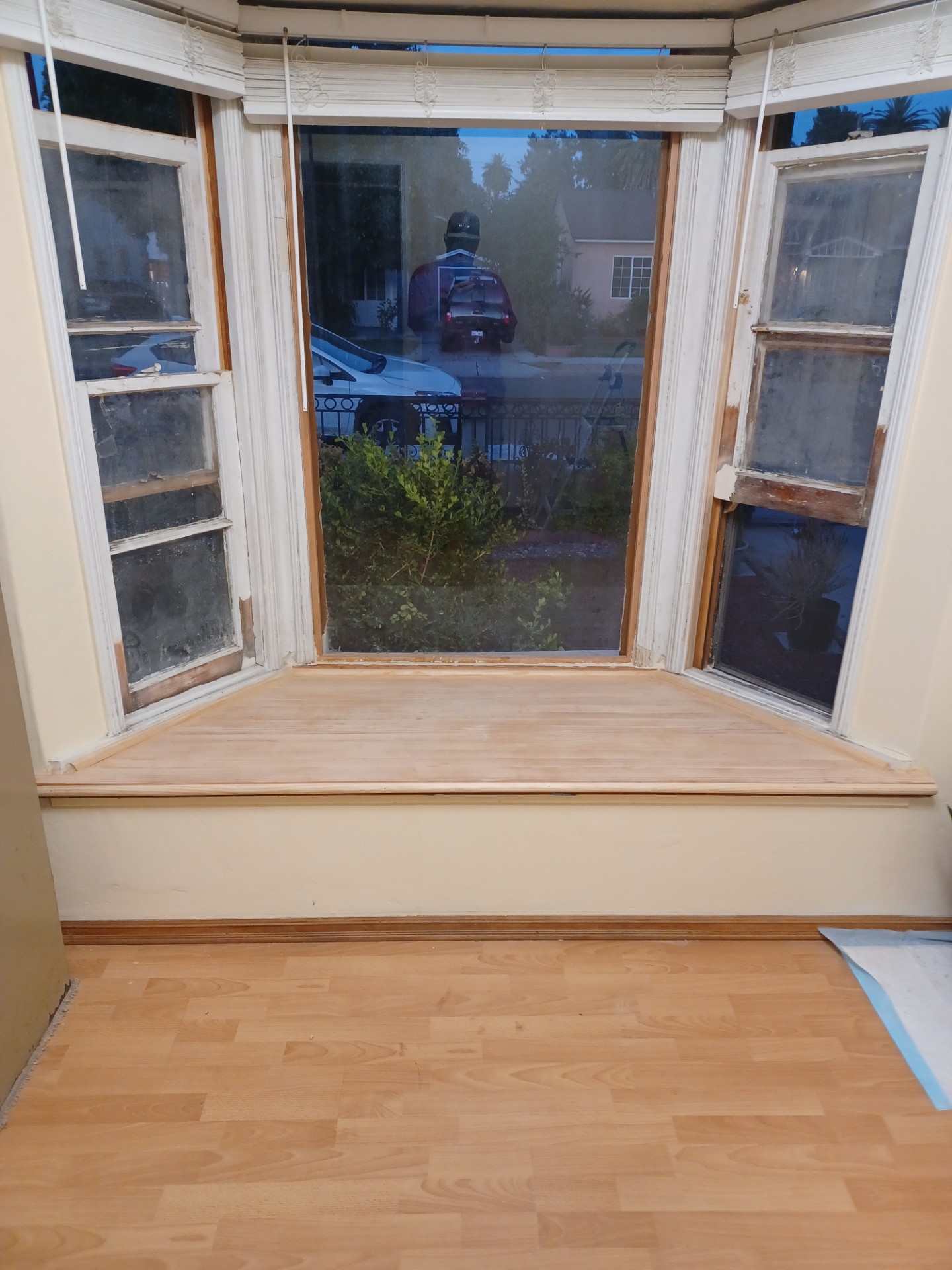 Window Repairs & Restorations